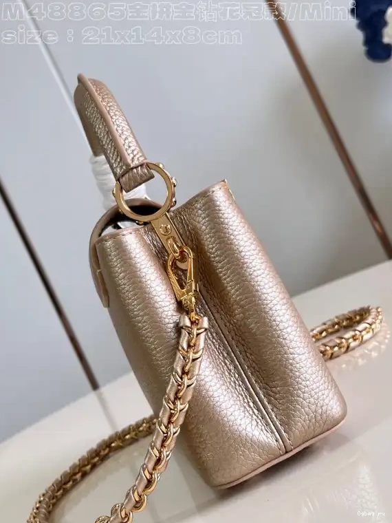 MINI-21*14*8CM VUITTON CAPUCINES LOUIS 0420